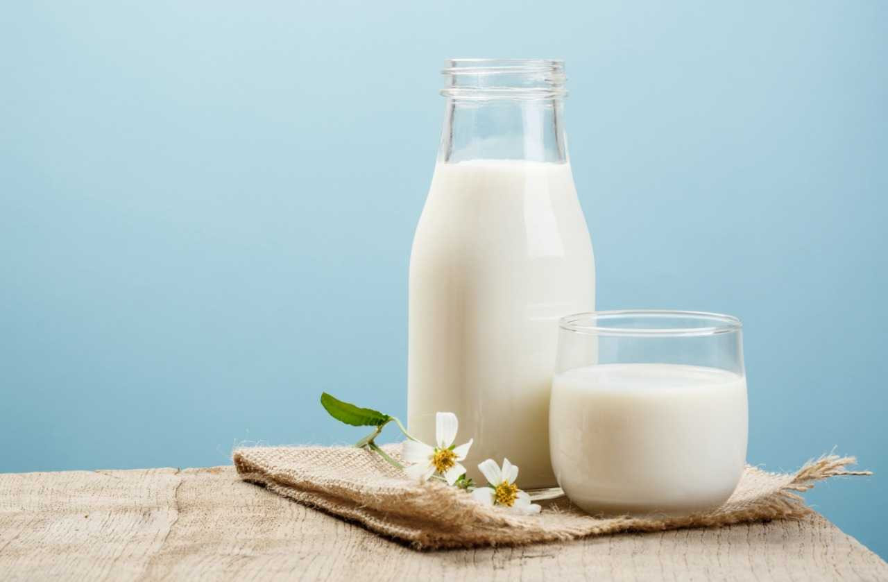 あなたは牛乳が体に良いという神話をまだ信じてませんか？