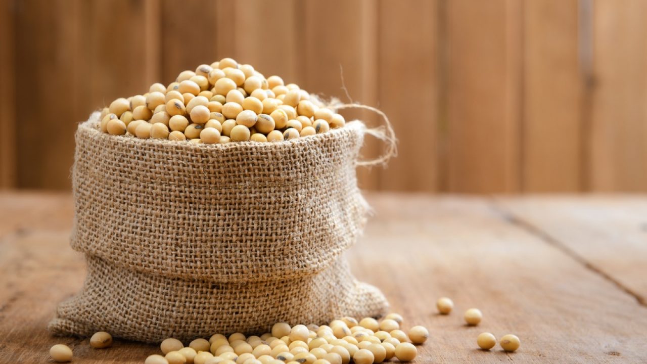 腸の損傷を引き起こすGMO(遺伝子組み換え)と農薬の関連性